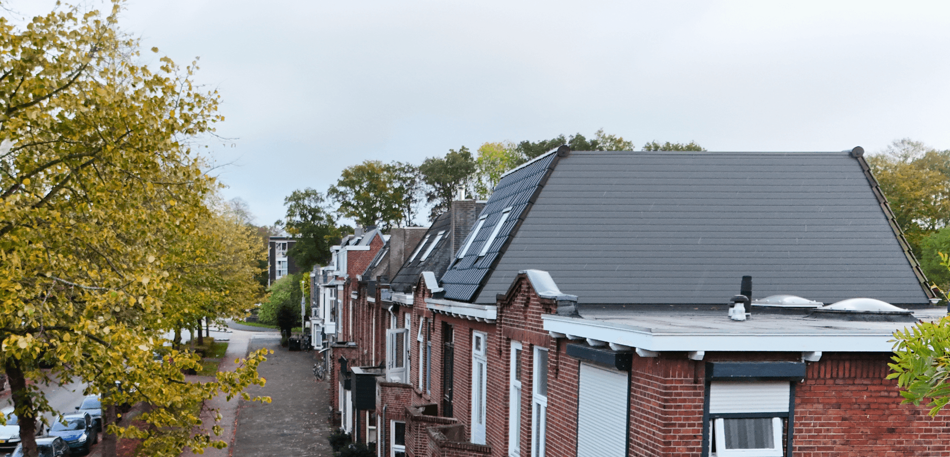 Dakdekker Zuid-Holland