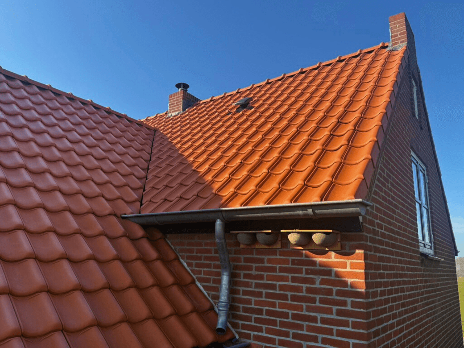 Eindresultaat van de dakrenovatie in Meeuwen met zwaluwnesten onder de goot