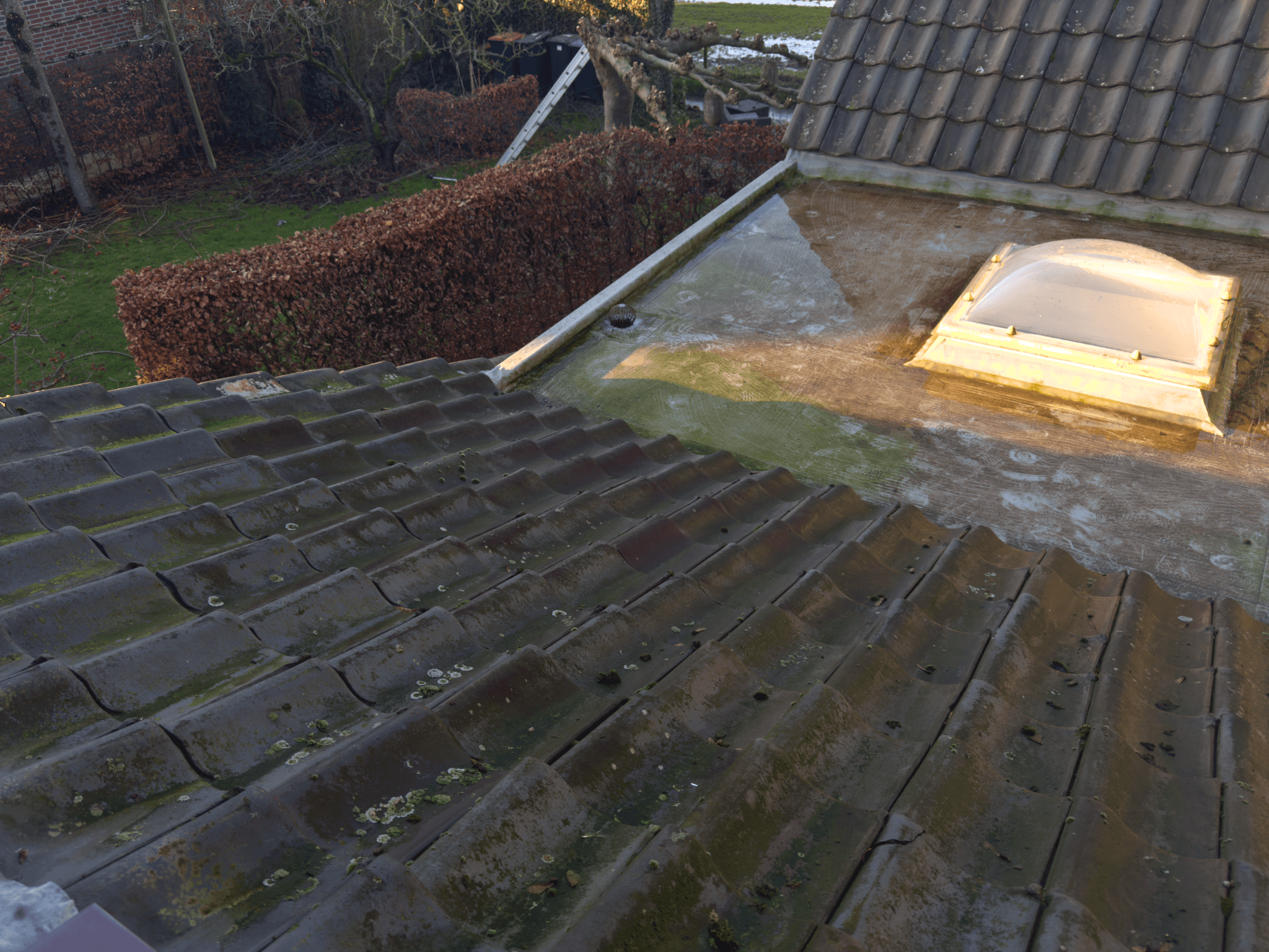 Oud plat pannendak met dakraam in Nederhemert